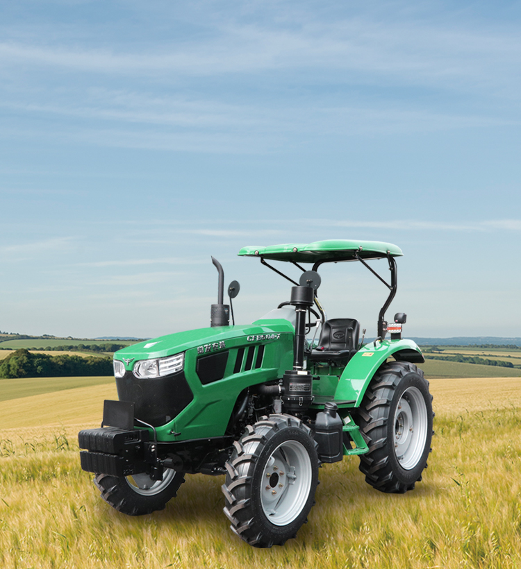 img1 of cate in cate