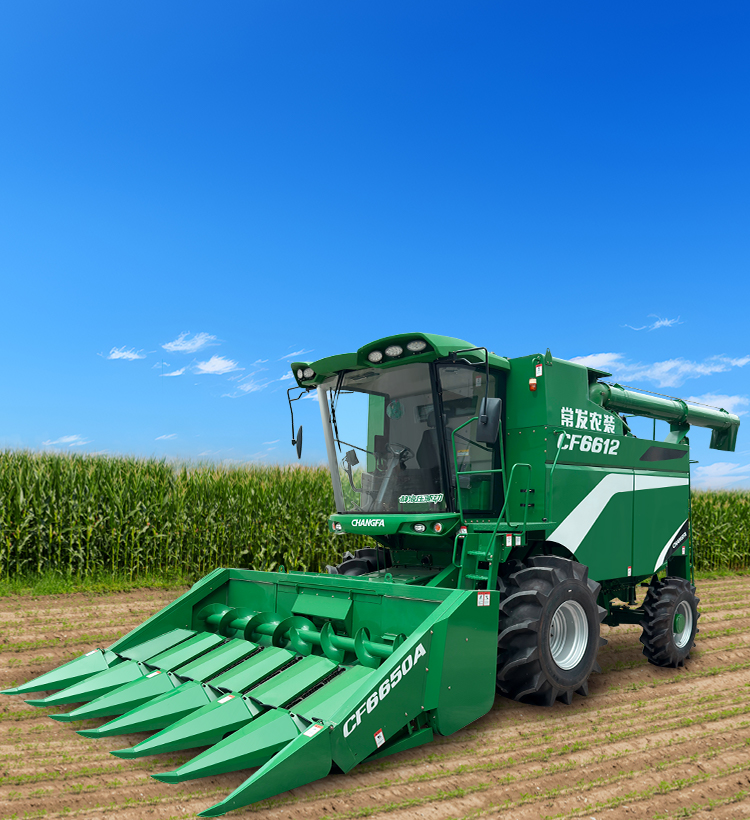 img5 of cate in cate